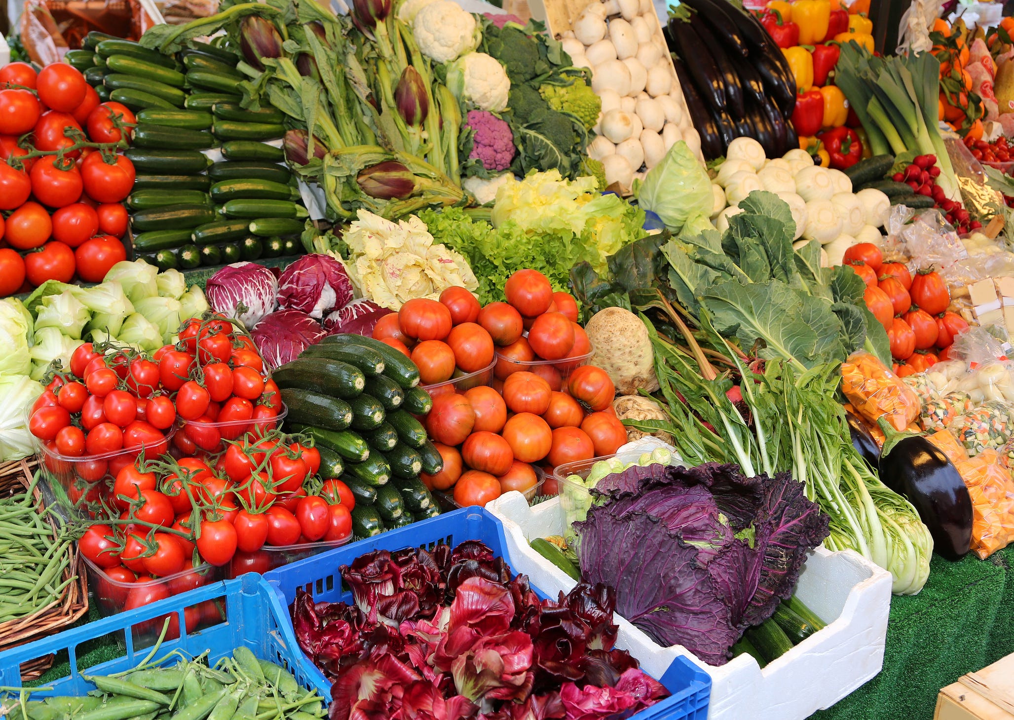 Best Places to Find Fresh Organic Vegetables